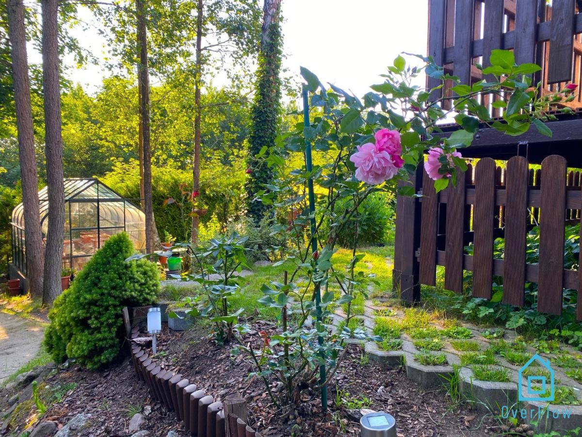 Holibobos Year Round Cottage In Kamien By The Lake Only 30 Minutes From Gdansk And Gdynia Exterior foto